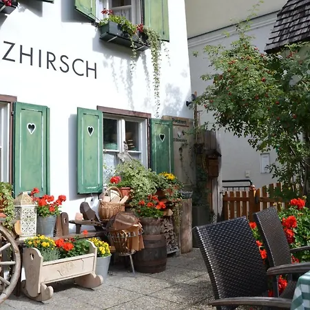 Platzhirsch zur alten Wagnerei Gästehaus-2